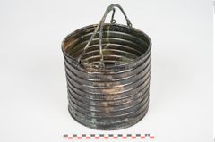 Foto von Bronzerippenziste (NHMW-PRAE-026411)